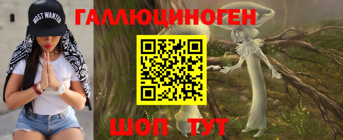 Псилоцибиновые грибы Cubensis Обнинск