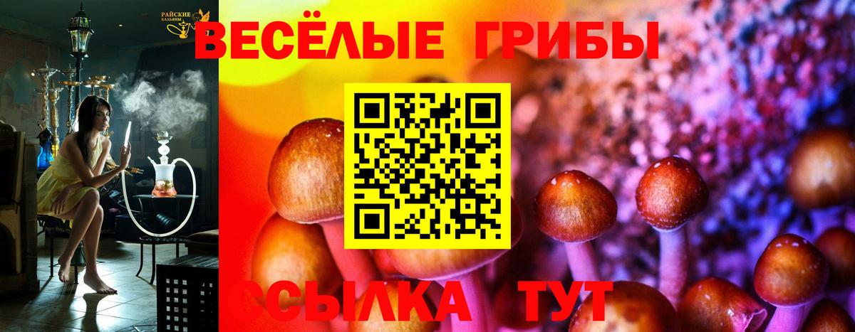 Обнинск  Псилоцибиновые грибы Psilocybe  Вход с VPN 